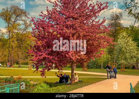 Prag, Tschechien 27/04/2020 - Familien genießen Stromovka Park nach der Quarantäneentspannung in der Tschechischen Republik an sonnigen Tagen mit Gesichtsmasken Stockfoto