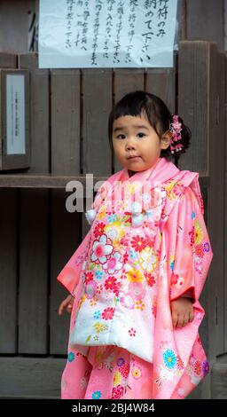 Ein kleines japanisches Mädchen, das traditionellen Kimono im Kasuga Taisha Tempel in Nara, Japan trägt Stockfoto