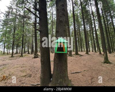 Ein grünes Vogelfutter. Der Futterautomat ist aus Holz in Form eines Hauses und mit grüner Farbe lackiert. Stockfoto