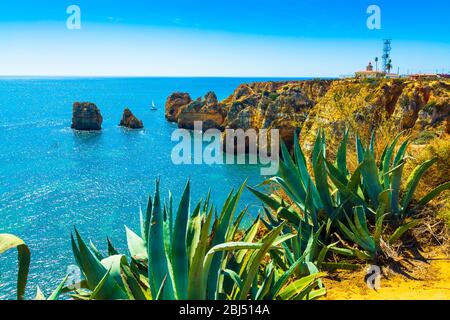 Erstaunliche Klippen über Algarve Küste und Agave Sukkulente Pflanze neer Lagos Stadt in Portugal, Europa Stockfoto