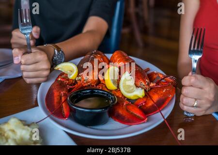 Ein hungriges Paar, das darauf wartet, in New England frisch gefangenen Hummer zu probieren. Stockfoto