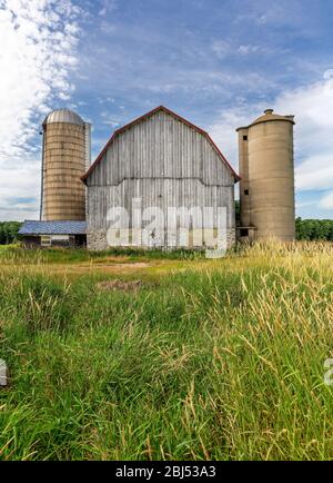 Alte weiße Scheune mit zwei angrenzenden Silos. Konzepte könnten Landwirtschaft, Familienbetrieb, Geschichte, andere. Stockfoto