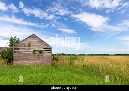 Verlassene und verwitterte ländliche Gebäude in einem Feld unter einem blauen Himmel mit Wolken und Raum für Kopie. Stockfoto