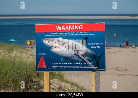 Strandgänger schwimmen in der Nähe eines Risikoschilds in den Gewässern, wo einer der weltweit höchsten Konzentrationen von großen weißen Haien gefunden wird. Stockfoto