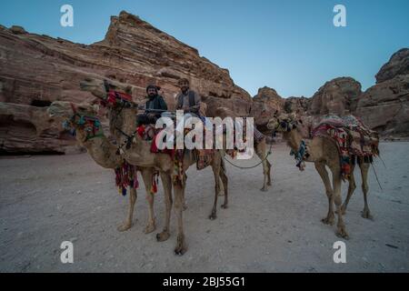 Beduinen, die auf Kamelen durch Petra fahren, halten für einen freundlichen Gruß. Stockfoto