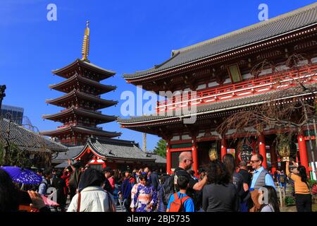 Landschaft des Asakusa Sensoji Temple, eine berühmte Touristenattraktion in Tokio, die mit vielen Menschen überfüllt ist Stockfoto