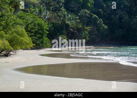 Costa Rica, Mittelamerika: Sandstrand mit tropischen Bäumen im Nationalpark Manuel Antonio Stockfoto