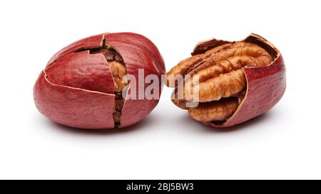 Pecan Isoliert auf weißem Hintergrund Stockfoto