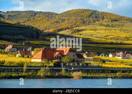 Herbst in der Wachau - Häuser und Weinberge in der Nähe der Donau, Wachau, Weißenkirchen, Niederösterreich, Österreich Stockfoto