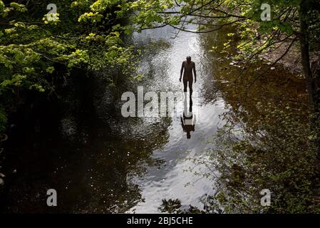 Eine von Sir Antony Gormleys '6-Mal'-Skulpturen im Wasser von Leith in Stockbridge, Edinburgh, Schottland. GROSSBRITANNIEN. Stockfoto