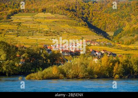 Herbst in der Wachau - Häuser und Weinberge in der Nähe der Donau, Wachau, Weißenkirchen, Niederösterreich, Österreich Stockfoto