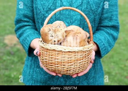 Frau mit einem Korb mit Pilzen Stockfoto