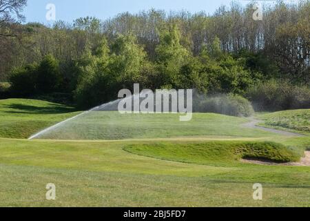 Ein Bewässerungssystem, das einen Golfplatz bewässert. Stockfoto