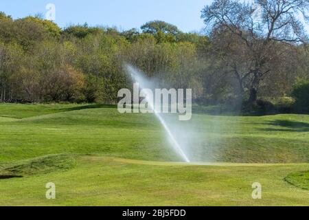 Ein Bewässerungssystem, das einen Golfplatz bewässert. Stockfoto