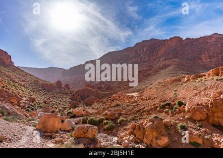 Landschaft in der Todra-Schlucht in Marokko mit der Sonne Stockfoto