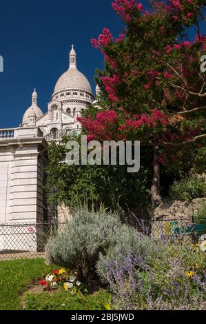 Schöner rosa Baum und Blumen in der Nähe der Basilika des Heiligen Herzens Jesu. Es ist eine römisch-katholische Kirche. Das Hotel liegt auf dem Gipfel des butte Mont Stockfoto