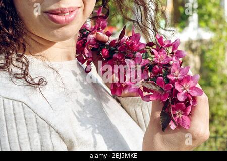 Dekorativer Apfelbaum. Blühend in rosa. Rosa Perlen. Stockfoto