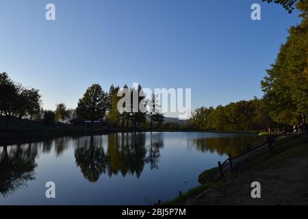 Bäume spiegeln sich perfekt auf dem ruhigen blauen Wasser in einem öffentlichen Park. Bagno di Romagna, Emilia Romagna, Italien Stockfoto