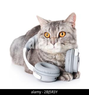 Graue Katze mit Kopfhörern isoliert auf weißem Hintergrund Stockfoto