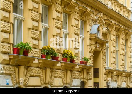 Stadtgebäude, Wien, Niederösterreich, Österreich Stockfoto