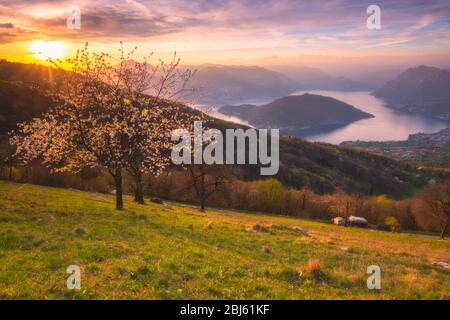 Frühling Sonnenuntergang über dem see von iseo in der Provinz Brescia, Lombardei, Italien Stockfoto