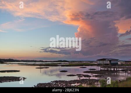 Fish House über dem Sumpf in Cedar Key Florida Stockfoto