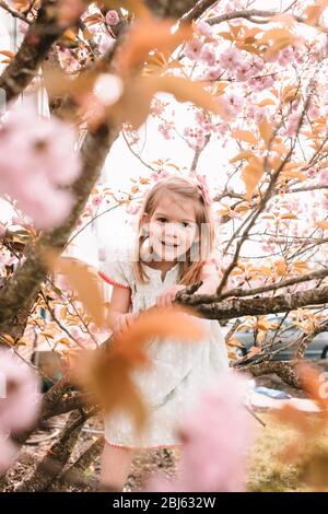 Kleinkind Mädchen Klettern Magnolienbaum im Frühjahr Stockfoto