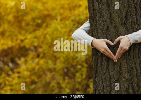 Menschliche Hände umarmen Baum im Park Stockfoto