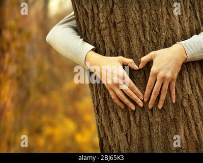 Menschliche Hände umarmen Baum im Park Stockfoto