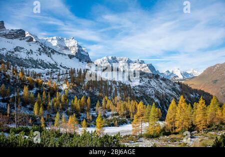 Schneebedeckte Berggipfel, Spitzkarspitze, Dreizinkenspitze und Laliderspitze, gelbe Lärchen im Herbst, Wanderung zur Hahnenkamplspitze, Engtaltal Stockfoto