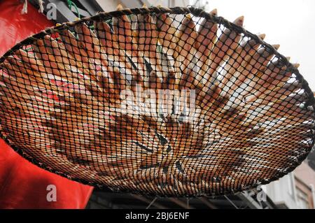 Fischtrocknung, Fischerdorf Tai O, Insel Lantau, Hongkong Stockfoto