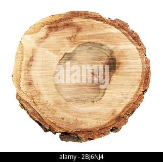 Holz-Rundscheibe, isoliert auf weiß Stockfoto