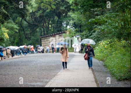 Japanische Familien und Reisende, die zum Meiji-Schrein in Tokio, Japan, laufen Stockfoto