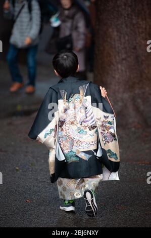 Ein kleiner Junge läuft in traditioneller Kleidung zum Meiji-Schrein in Tokio, Japan, um eine Erntefeier zu feiern Stockfoto