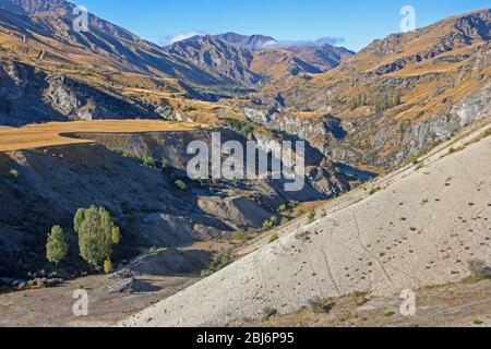 Gold-Abstände über dem Skippers Canyon Stockfoto