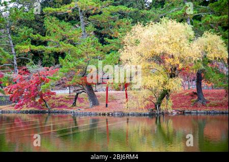 Reflektierender Pool und Herbstlaub in der Nähe des Todaiji-Tempels, Nara, Japan Stockfoto