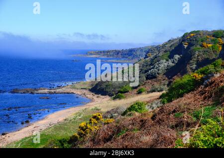 Nebel nähert sich der Küste von Fife in der Nähe von St andrews, Schottland Stockfoto