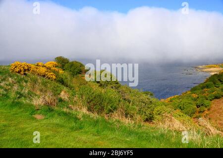 Nebel nähert sich der Küste von Fife in der Nähe von St andrews, Schottland Stockfoto