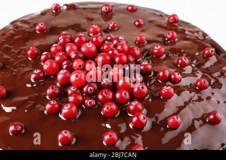 Schokoladenkuchen mit Cranberries, Nahaufnahme Stockfoto