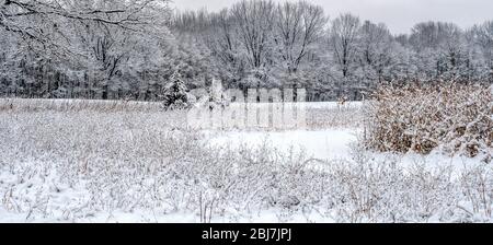 Hübsches Panorama in Michigan USA sieht nach einem frühen Schneesturm im Frühjahr magisch aus Stockfoto