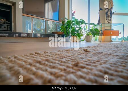 Bodenebene Blick auf die Home Lounge mit Schränken, Tisch und modernen grünen Topfpflanzen, die durch das Tageslicht durch das Fenster beleuchtet werden. Stockfoto