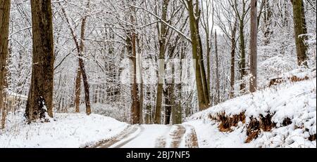 Schöne verschneite Waldland Fahrt in Michigan USA, nach einer Überraschung im Frühjahr Schneefall Stockfoto