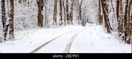 Es ist eine magische Fahrt durch diese schöne von Bäumen gesäumte Straße in Michigan USA nach einem frühen Frühling Schneesturm Stockfoto