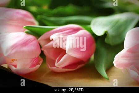 Bouquet von rosa Tulpen auf Geschenkpapier, aus nächster Nähe Stockfoto