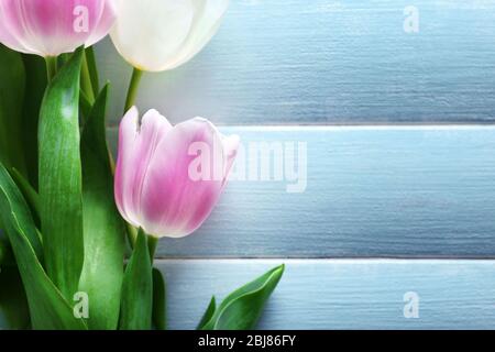 Bouquet von weißen und rosa Tulpen auf blauem Holzhintergrund Stockfoto