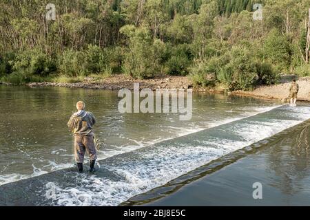 Fischer zieht ein Fischernetz mit Fischen aus dem Wasser Stockfoto