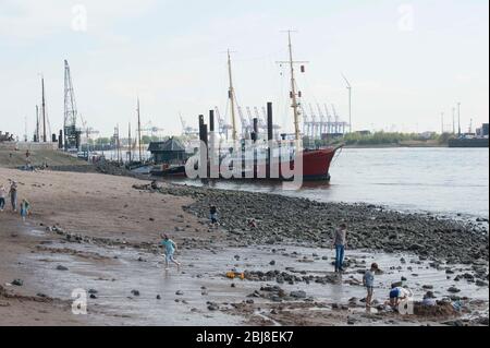 Elbe in Hamburg, Niedrigwasser , Flussbett trocken aus, am 27. April 2020 Stockfoto