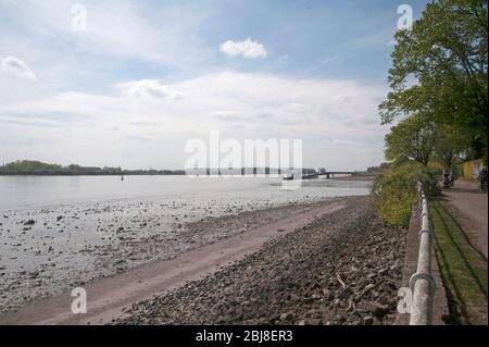 Elbe in Hamburg, Niedrigwasser , Flussbett trocken aus, am 27. April 2020 Stockfoto