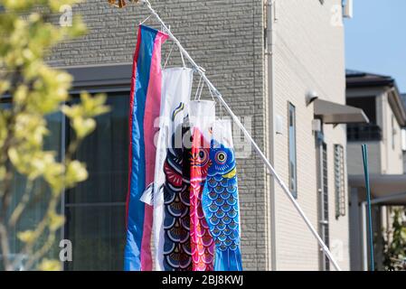 Banner von Koinobori oder Karpfen sind vor einem Haus in Japan ausgestellt, um den Kindertag oder Kodomo No Hi - ein offizieller Feiertag in Japan zu feiern. Stockfoto