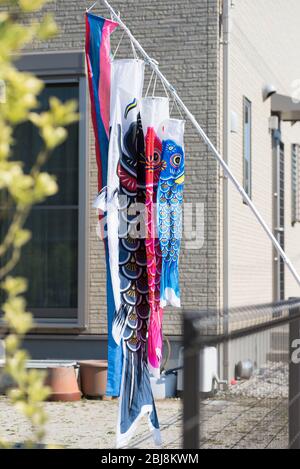 Banner von Koinobori oder Karpfen sind vor einem Haus in Japan ausgestellt, um den Kindertag oder Kodomo No Hi - ein offizieller Feiertag in Japan zu feiern. Stockfoto